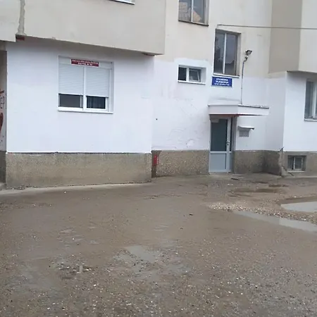 Iva Zaječar